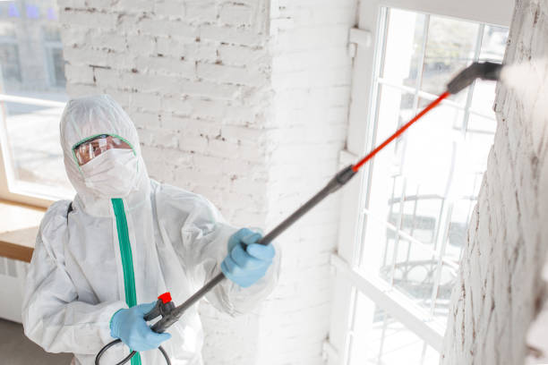 Best Air Quality Testing for Mold Spores  in Weddington, NC