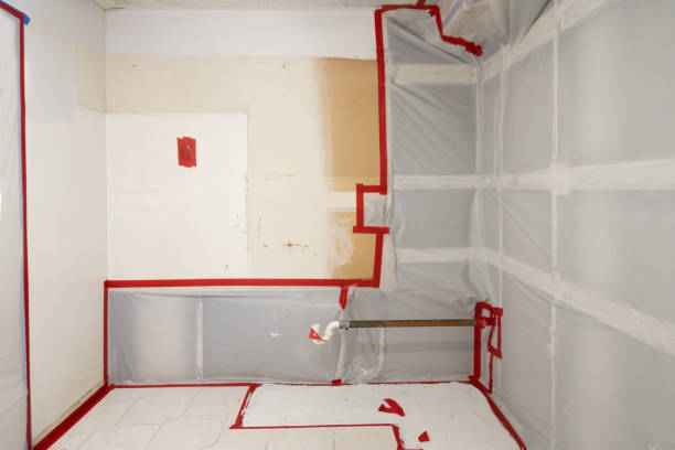 Reliable Weddington, NC Mold Removal Solutions