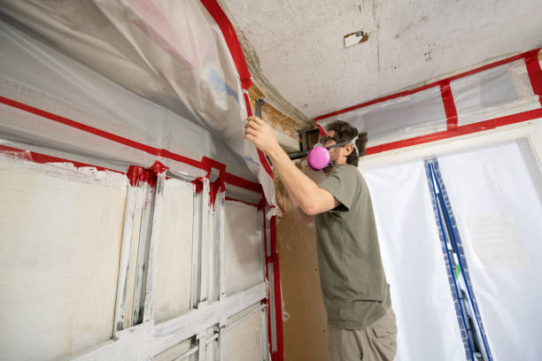 Best Biohazard Mold Removal  in Weddington, NC