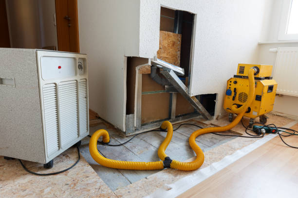 Best Mold Damage Restoration  in Weddington, NC